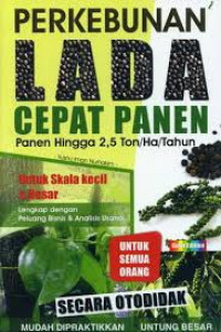 Perkebunan Lada Cepat Panen