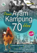 Panen Ayam Kampung 70 Hari