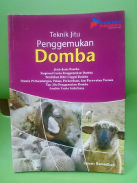 Teknik Penggemukan Domba
