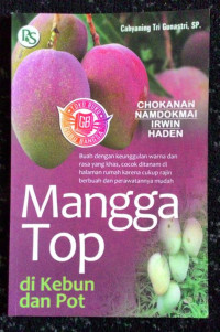 Mangga TOP di Kebun dan Pot