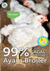 99% Gagal Berternak Ayam Broiler