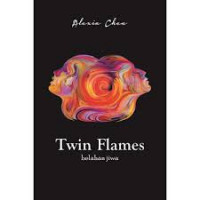 Twin Flames : Belahan Jiwa v.2