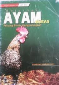 Beternak Ayam Buras : Peluang Bisnis Menguntungkan