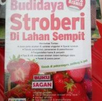 Budidaya Stroberi di Lahan Sempit