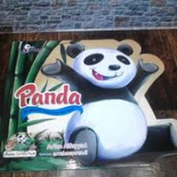 Panda : Si Gendut yang Lucu dan Imut