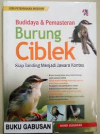 Budidaya & Pemasteran Burung Ciblek : Siap Tanding Menjadi Jawara Kontes