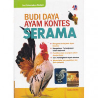 Budidaya Ayam Kontes Serama