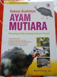 Sukses Budidaya Ayam Mutiara : Menjemput Kilau Untung Ratusan Persen