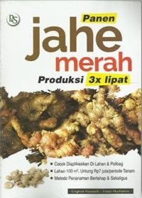 Panen Jahe Merah Produksi 3x Lipat