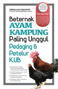 Beternak Ayam Kampung Paling Unggul Pedaging & Petelur KUB