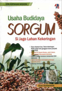 Usaha Budidaya Sorgum Sijago Lahan Kekeringan