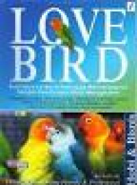 Love Bird